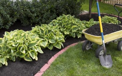 Topsoil, Mulching Services for Flower Beds or New Lawns | Bethlehem, CT