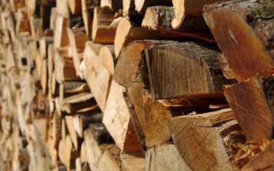 Redding, CT | Seasoned Firewood for Sale & Delivery