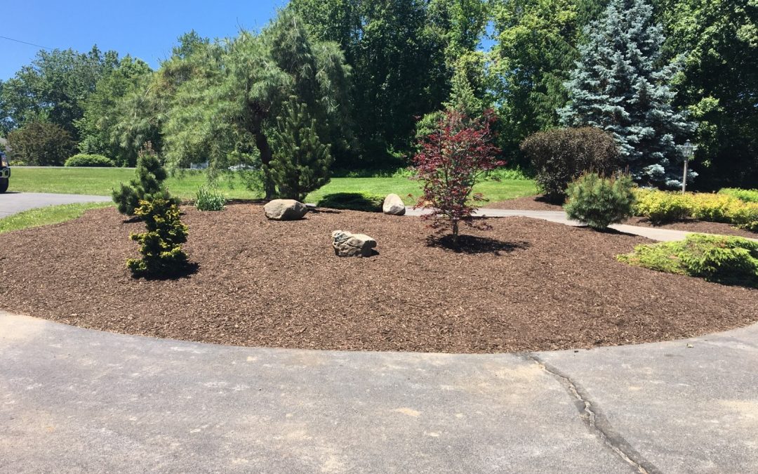 Tree, Plant, & Shrub Planting Landscaping Services | Roxbury, CT