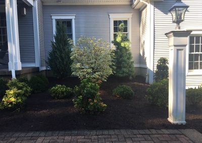 Landscape Design & Plant Installation by John Spector Landscape Design