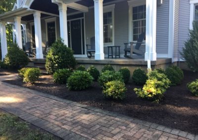 Landscape Design & Plant Installation by John Spector Landscape Design