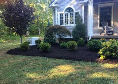 Landscape Design & Plant Installation by John Spector Landscape Design