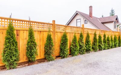 Landscape Design & Lawn Care Maintenance Services | Woodbury, CT