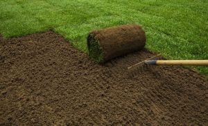 Grass Sodding Installation Services | Woodbury, CT